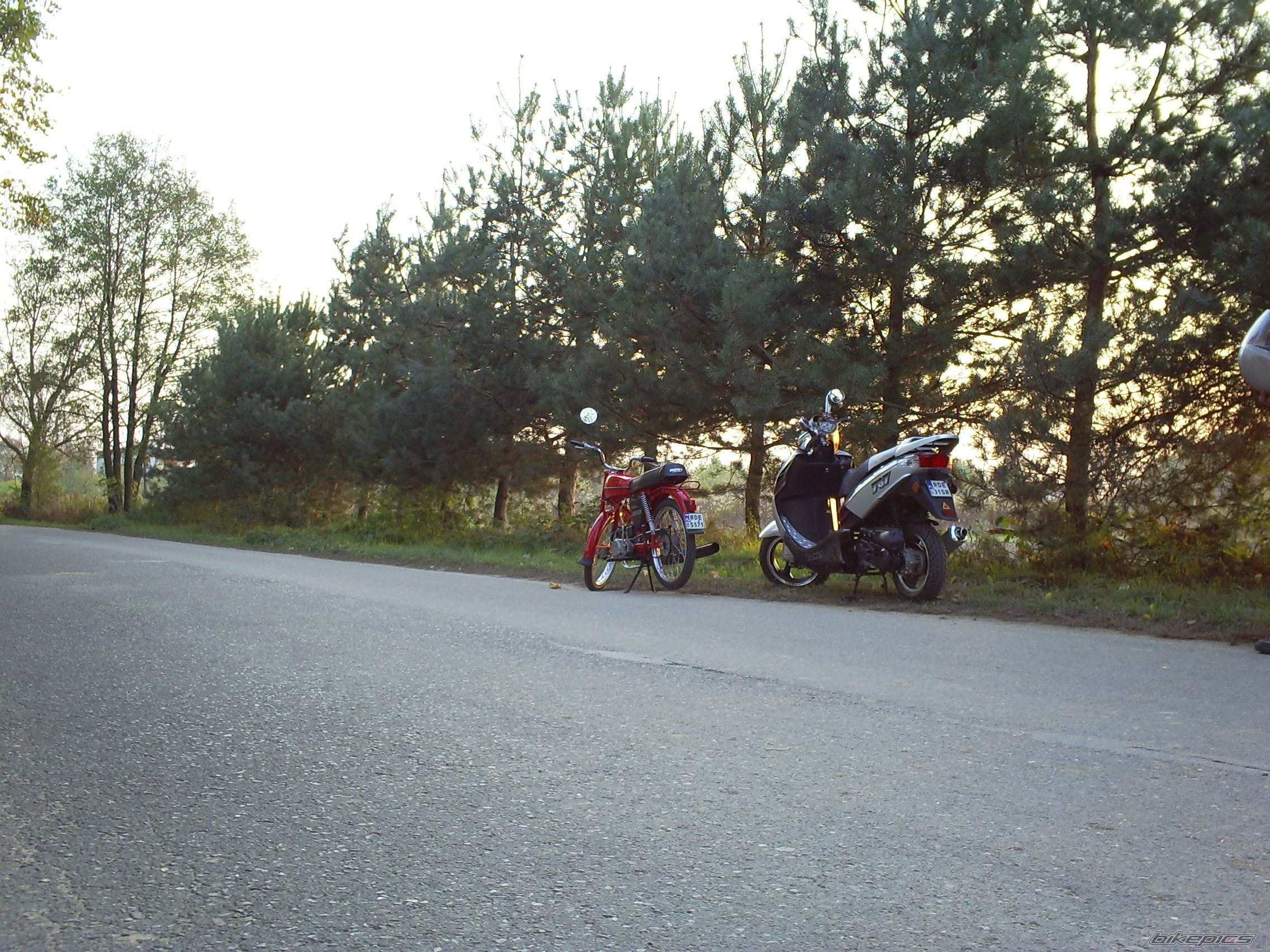 1980 ROMET 50 T 1 | Picture 1691638 motorcycle photo