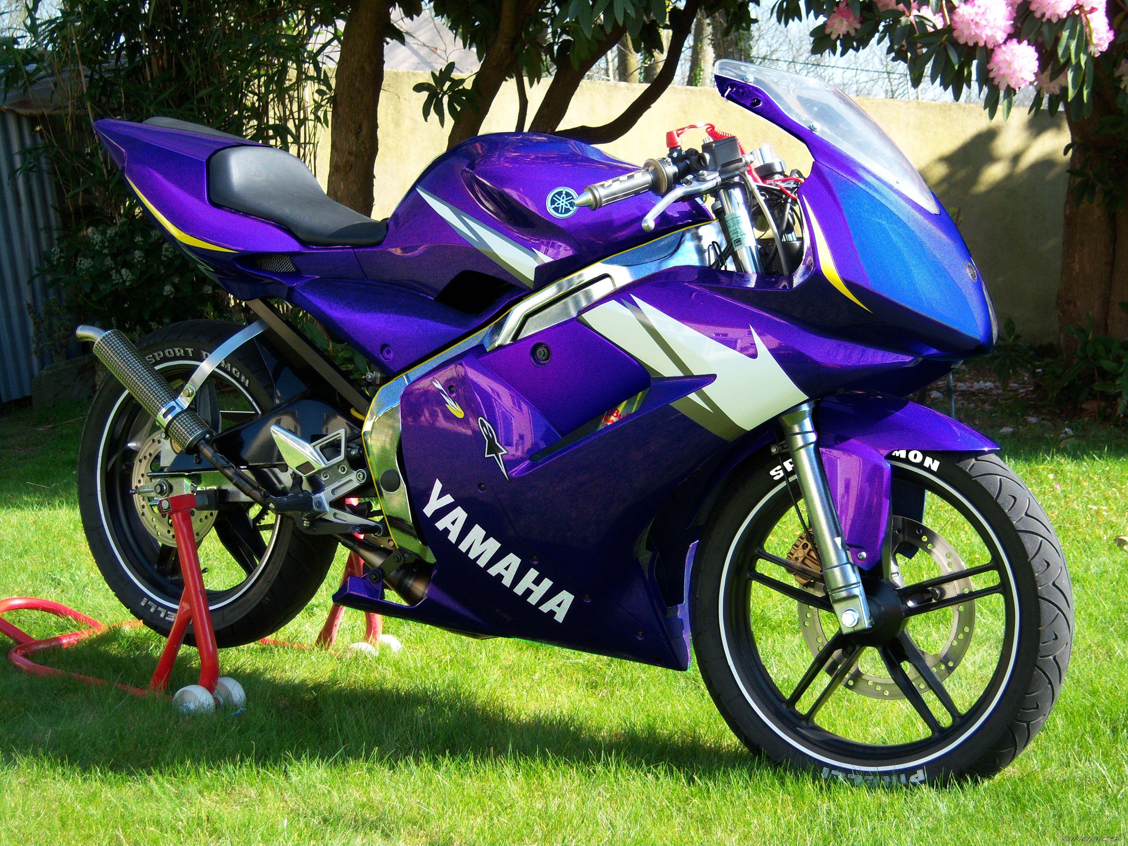 2006 YAMAHA TZR 50 | Picture 1691639 motorcycle photo