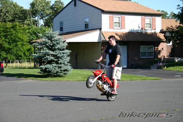 2003 HONDA XR 50 | Picture 169165 motorcycle photo