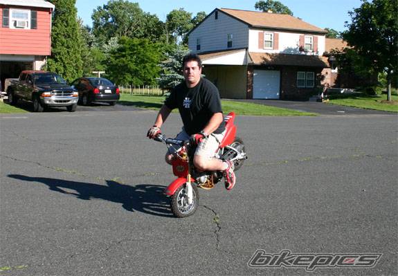 2003 HONDA XR 50 | Picture 169169 motorcycle photo