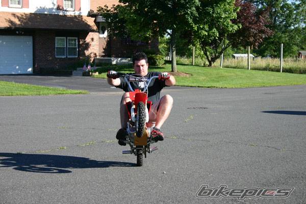 2003 HONDA XR 50 | Picture 169173 motorcycle photo