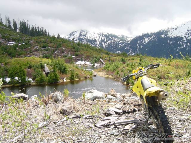 2001 SUZUKI DRZ 400 | Picture 169224 motorcycle photo