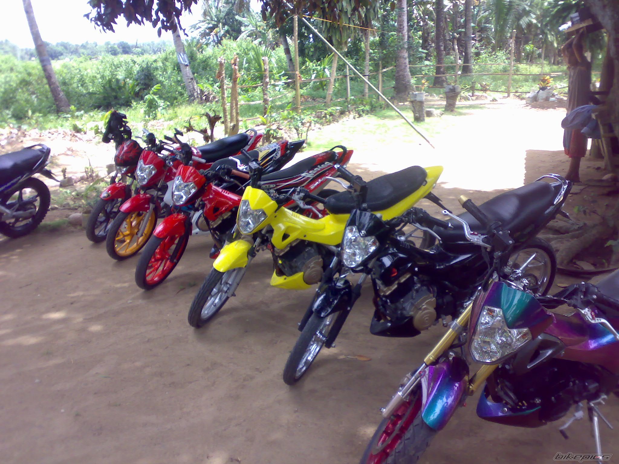2008 SUZUKI RAIDER 150 | Picture 1692273 motorcycle photo