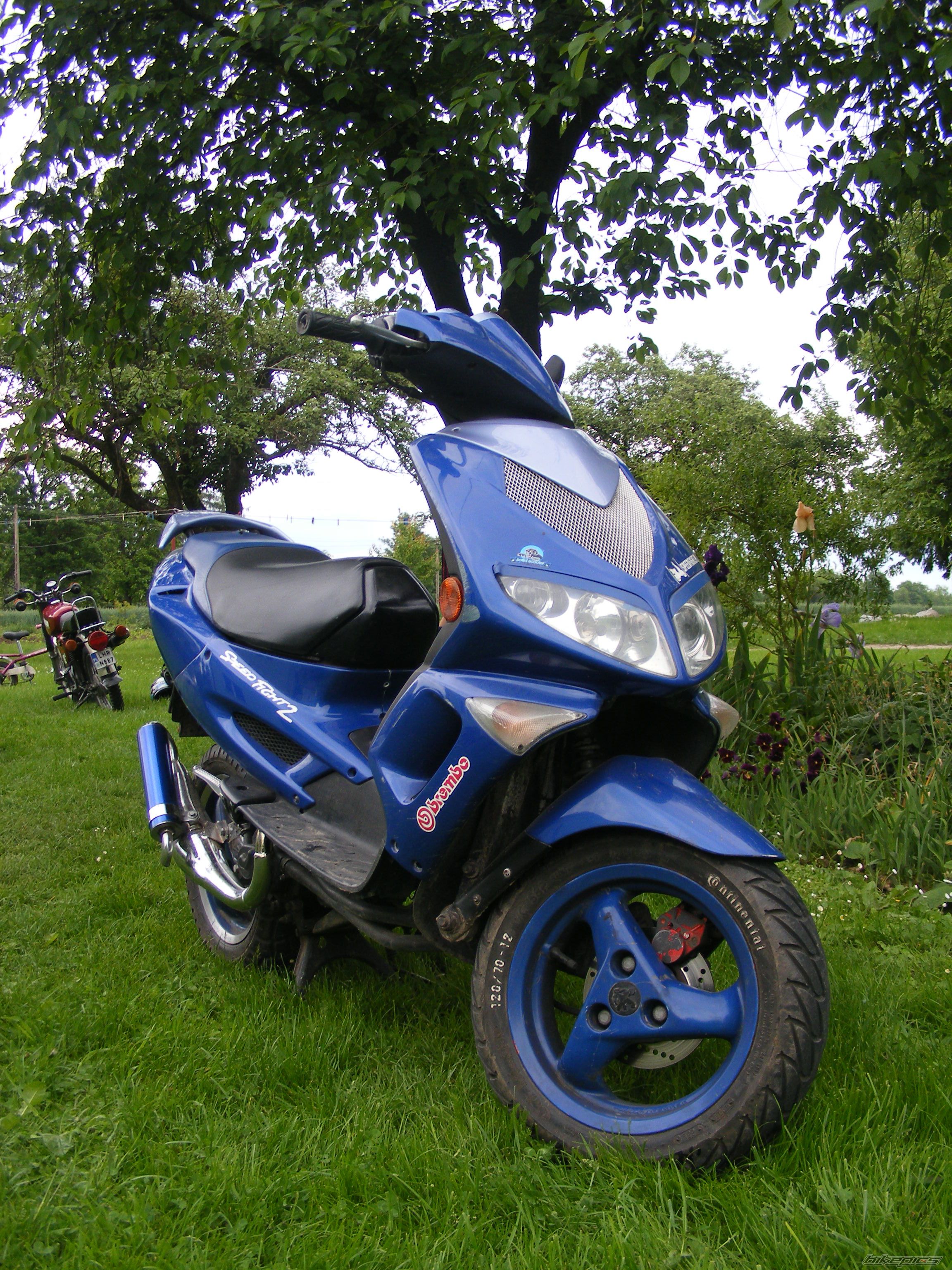 2001 PEUGEOT SPEEDFIGHT2 50 | Picture 1692293 motorcycle photo
