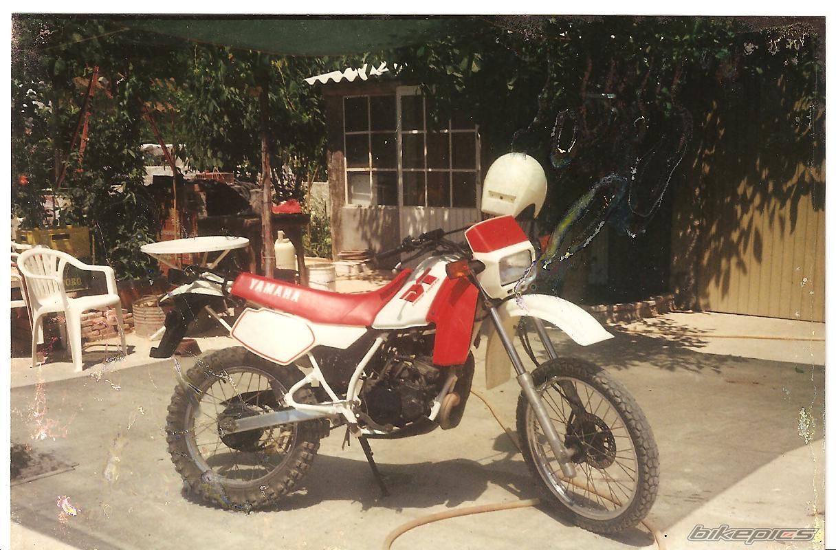    | Picture 1693705 motorcycle photo