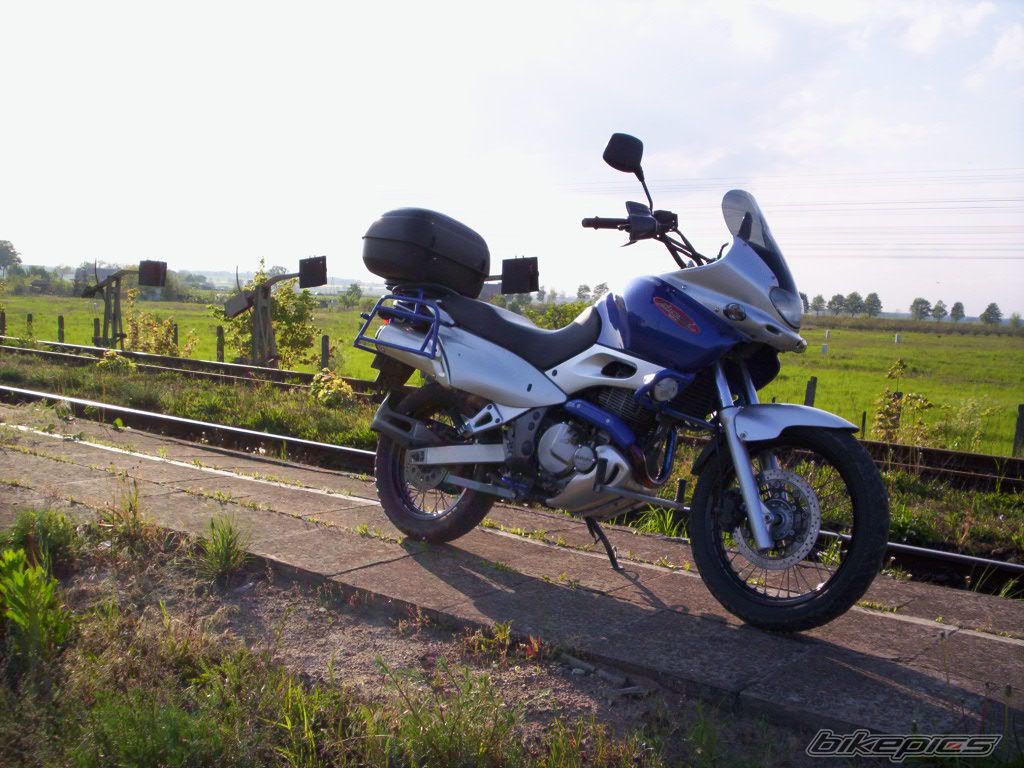 1997 SUZUKI XF 650 FREEWIND | Picture 1693719 motorcycle photo