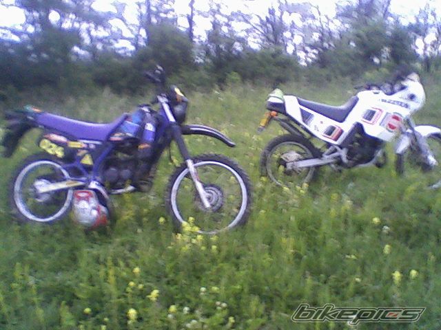 1994 YAMAHA DT 80 | Picture 1694143 motorcycle photo