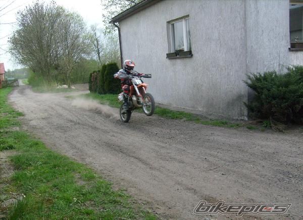 2004 KTM 65 SX | Picture 1694665 motorcycle photo