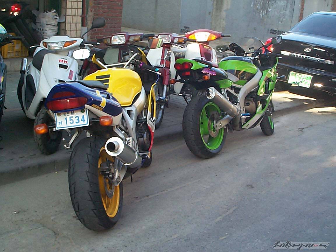 1999 HONDA CBR 900 | Picture 16952 motorcycle photo
