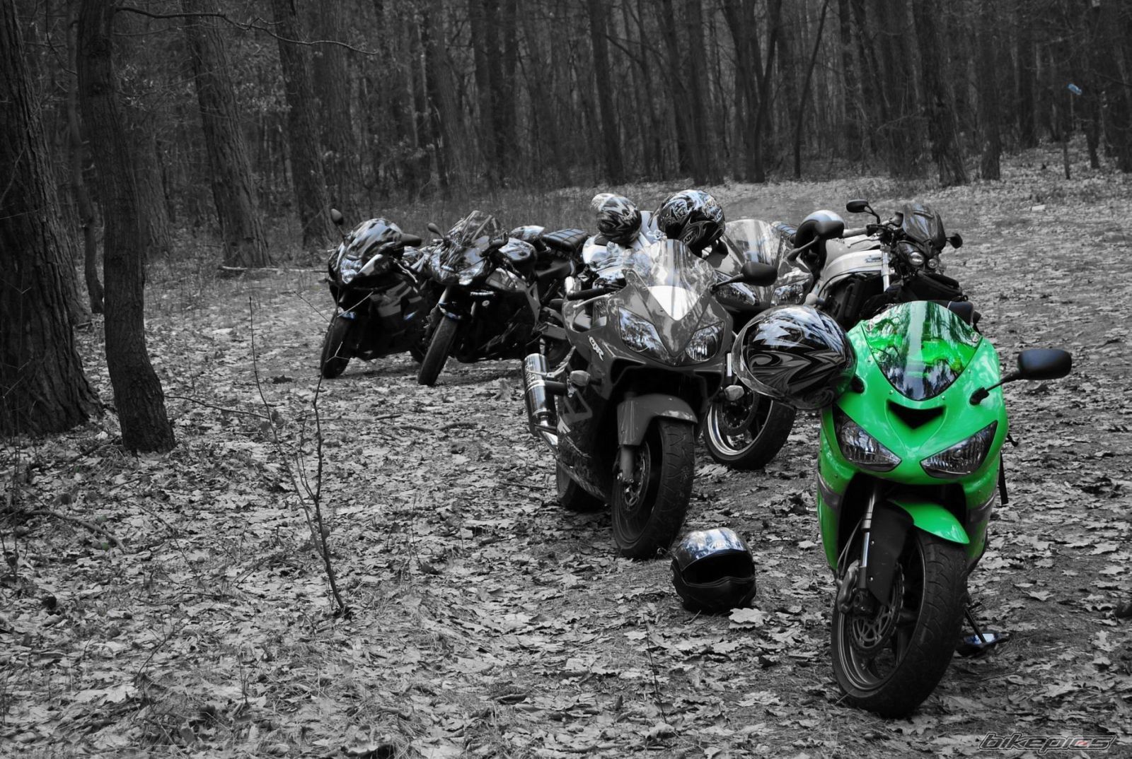 2006 KAWASAKI ZX 6R | Picture 1695269 motorcycle photo