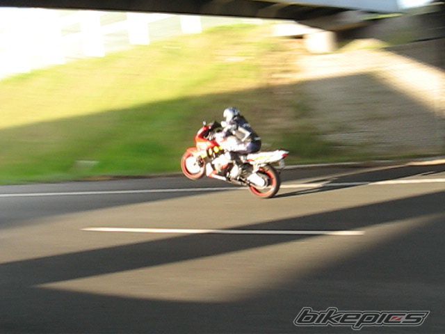 1996 HONDA CBR 600 | Picture 1695301 motorcycle photo