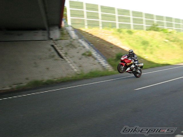 1996 HONDA CBR 600 | Picture 1695302 motorcycle photo