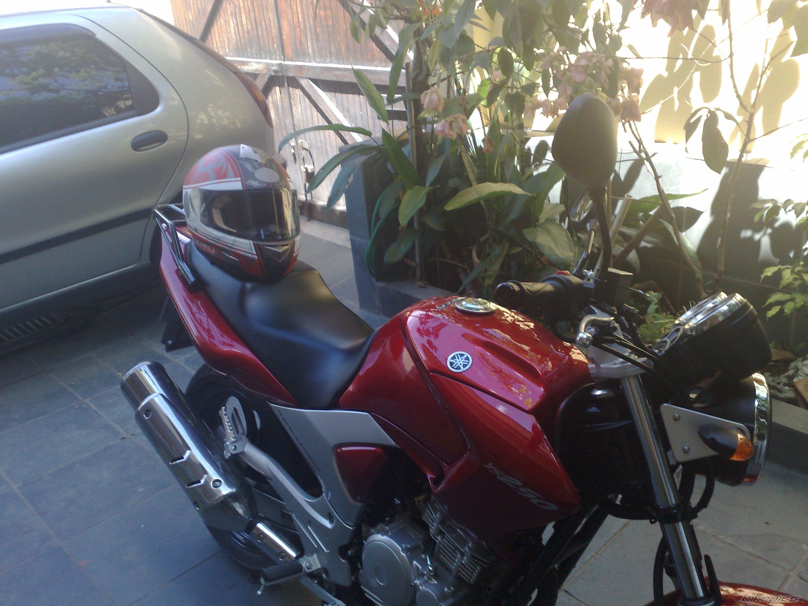 2008 YAMAHA FAZER 250 | Picture 1695437 motorcycle photo