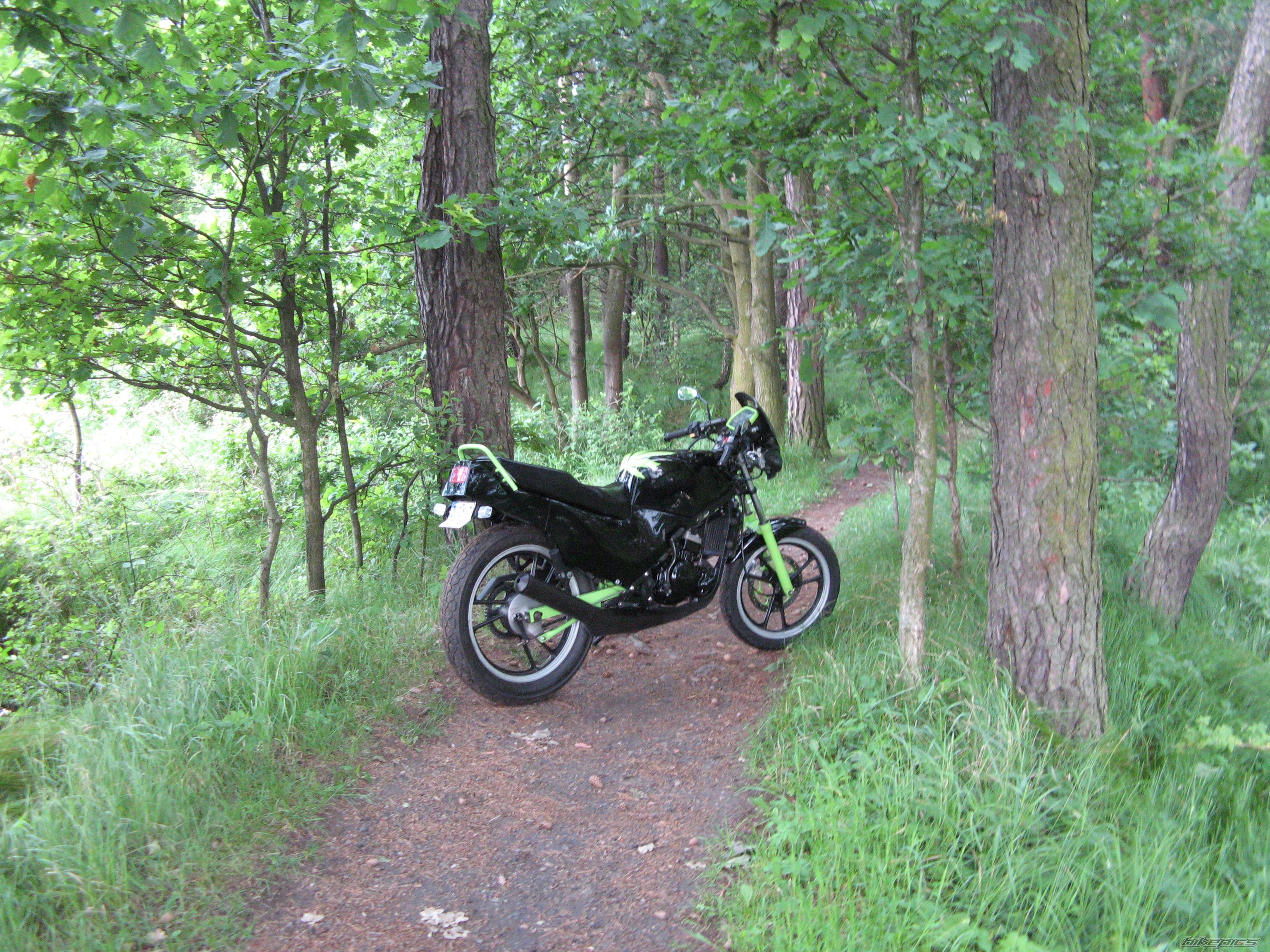 1993 SUZUKI RG 80 | Picture 1695653 motorcycle photo