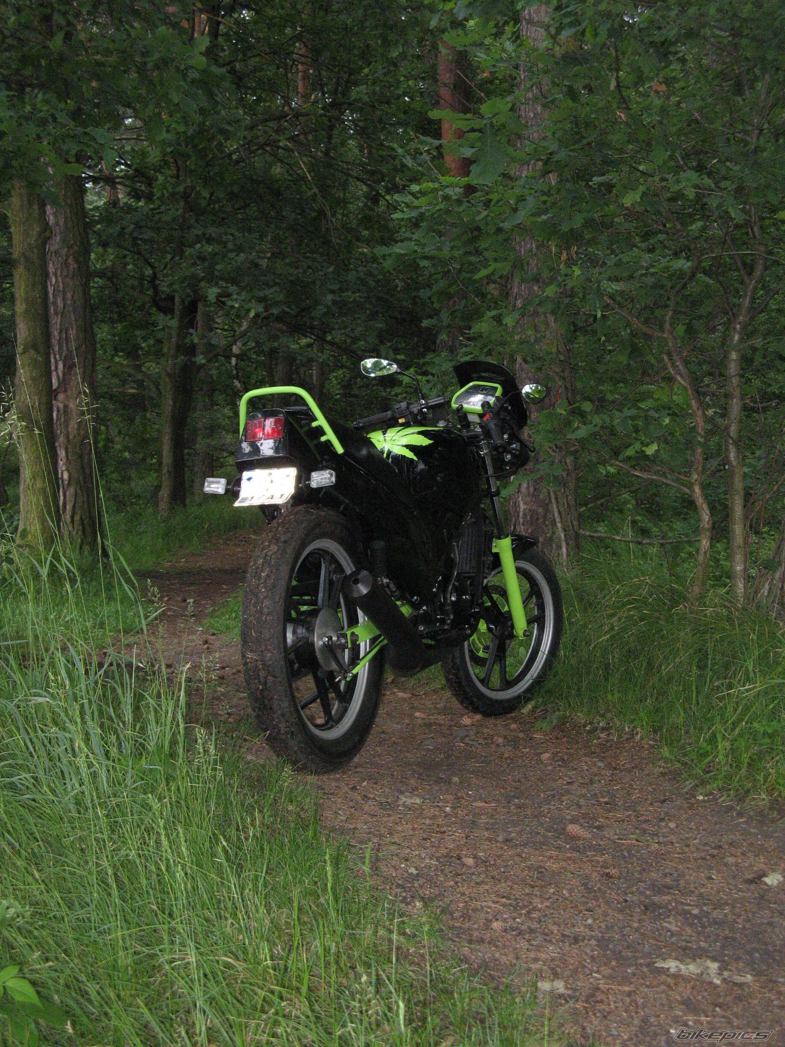 1993 SUZUKI RG 80 | Picture 1695664 motorcycle photo