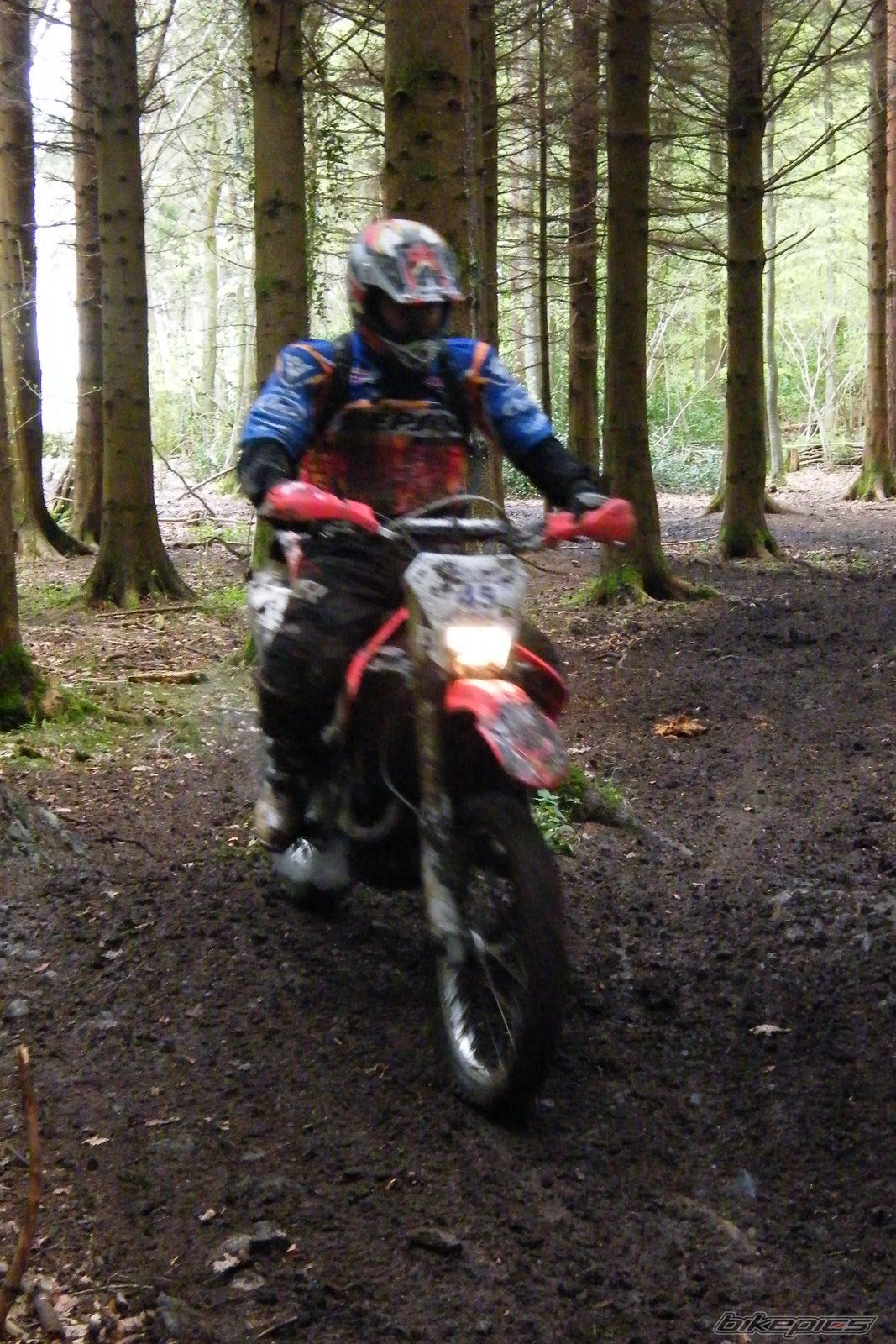 2008 HONDA CRF450X | Picture 1696519 motorcycle photo