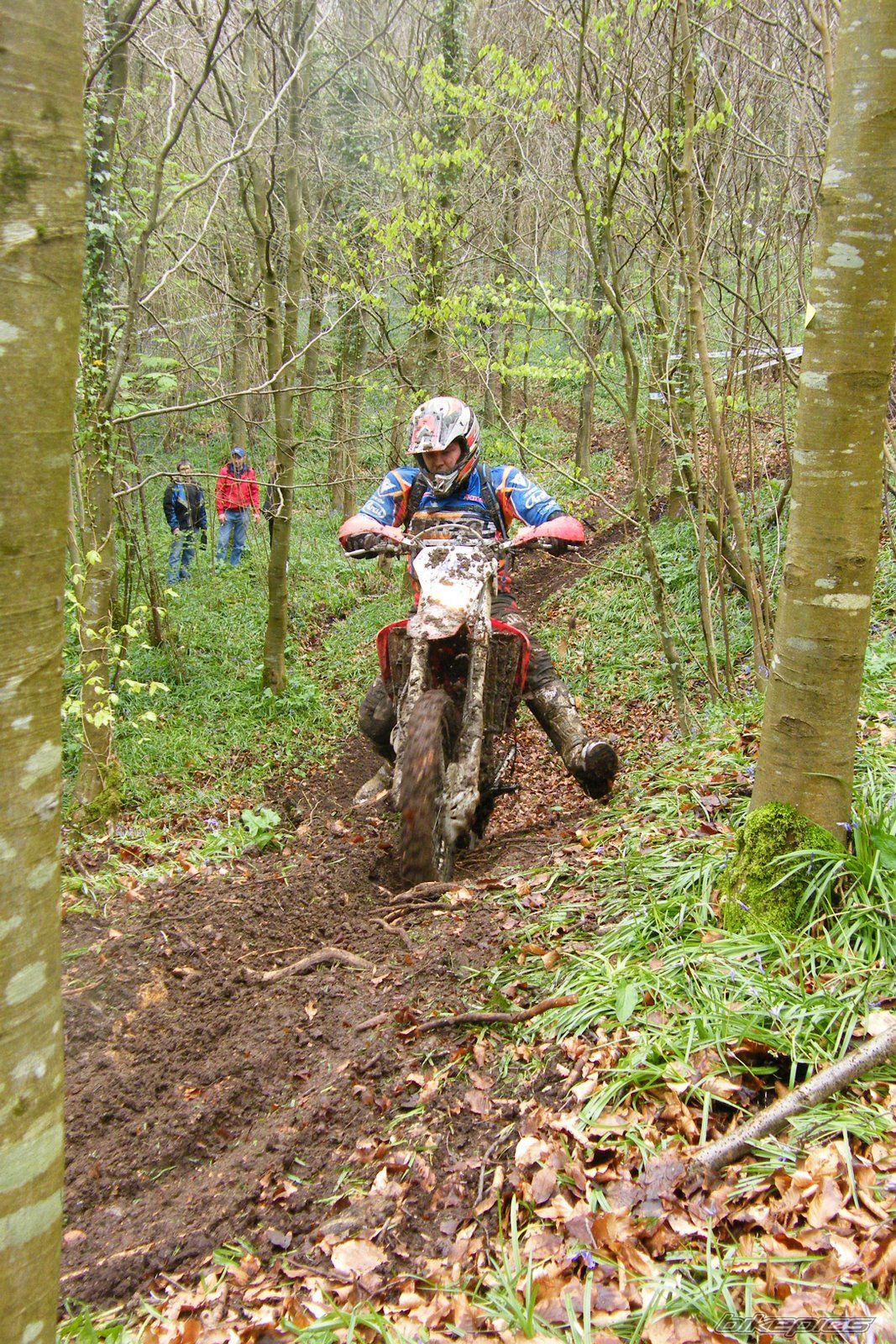 2008 HONDA CRF450X | Picture 1696525 motorcycle photo