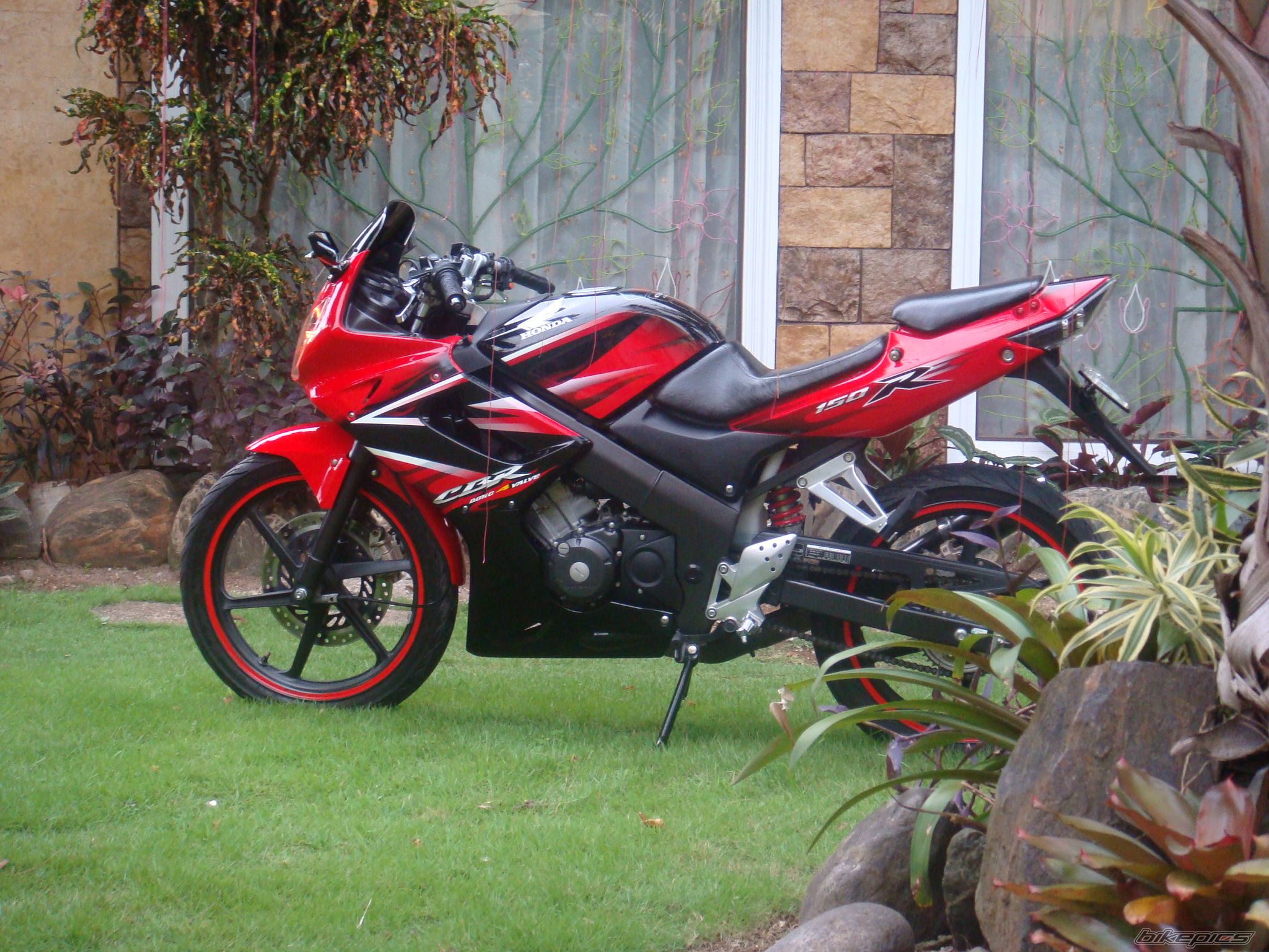 2008 HONDA CBR 150 | Picture 1697001 motorcycle photo
