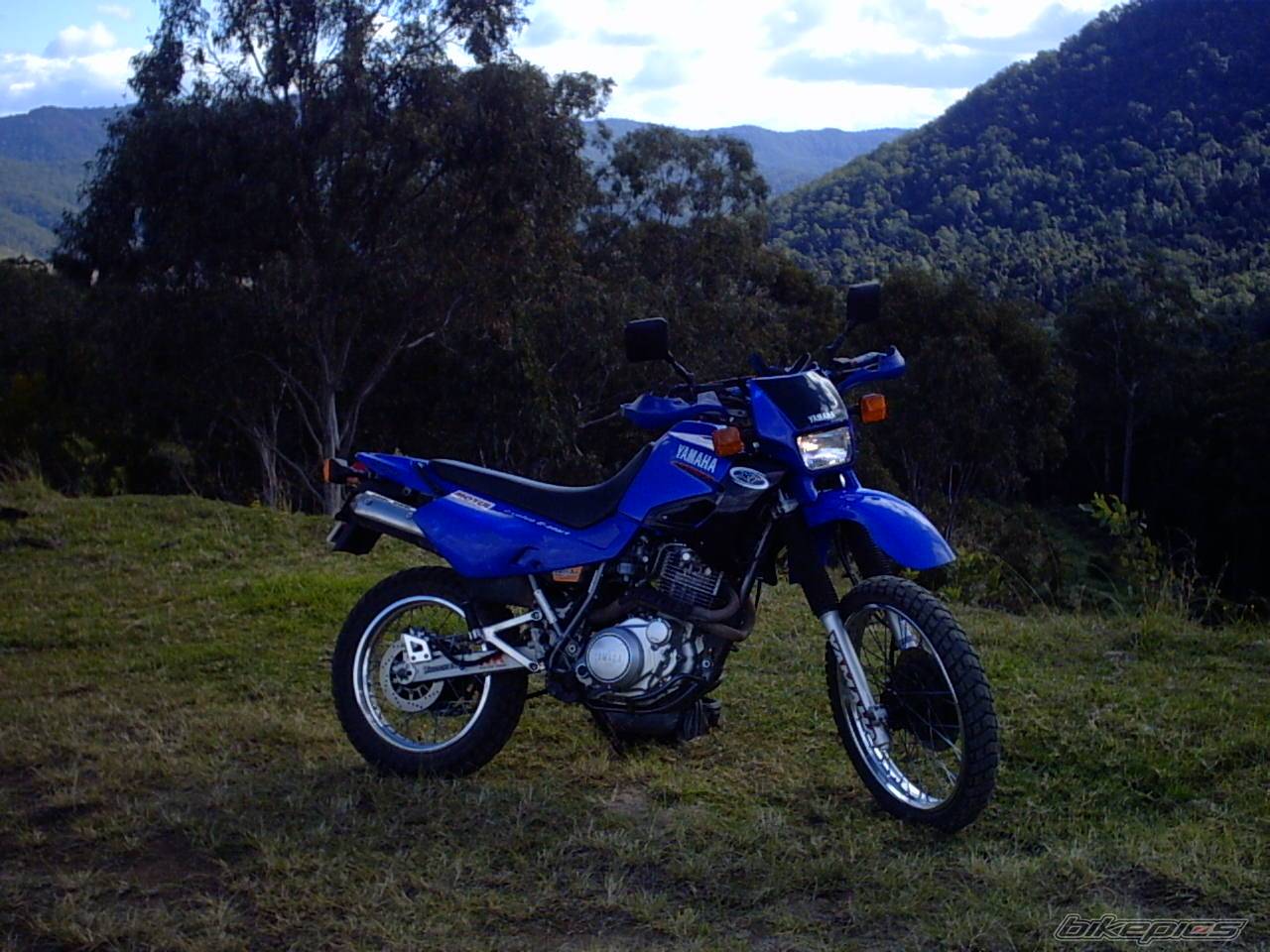 2003 YAMAHA XT 600 | Picture 169746 motorcycle photo