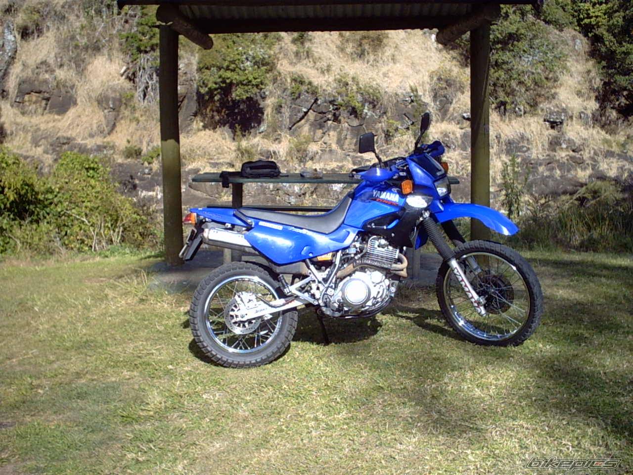 2003 YAMAHA XT 600 | Picture 169748 motorcycle photo