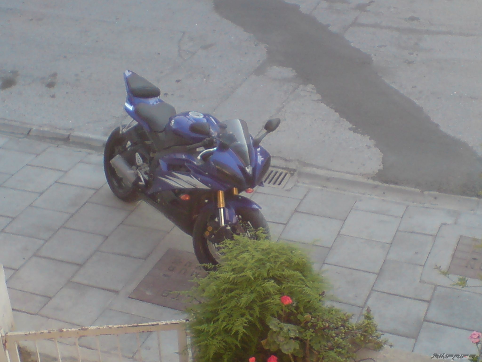 2006 YAMAHA YZF R6 | Picture 1697789 motorcycle photo