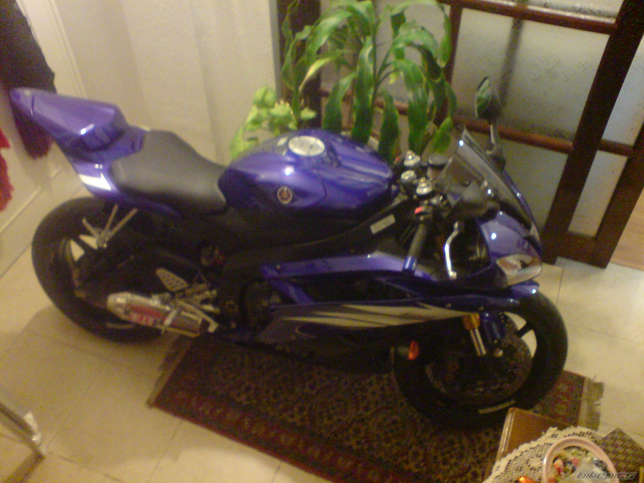 2006 YAMAHA YZF R6 | Picture 1697801 motorcycle photo