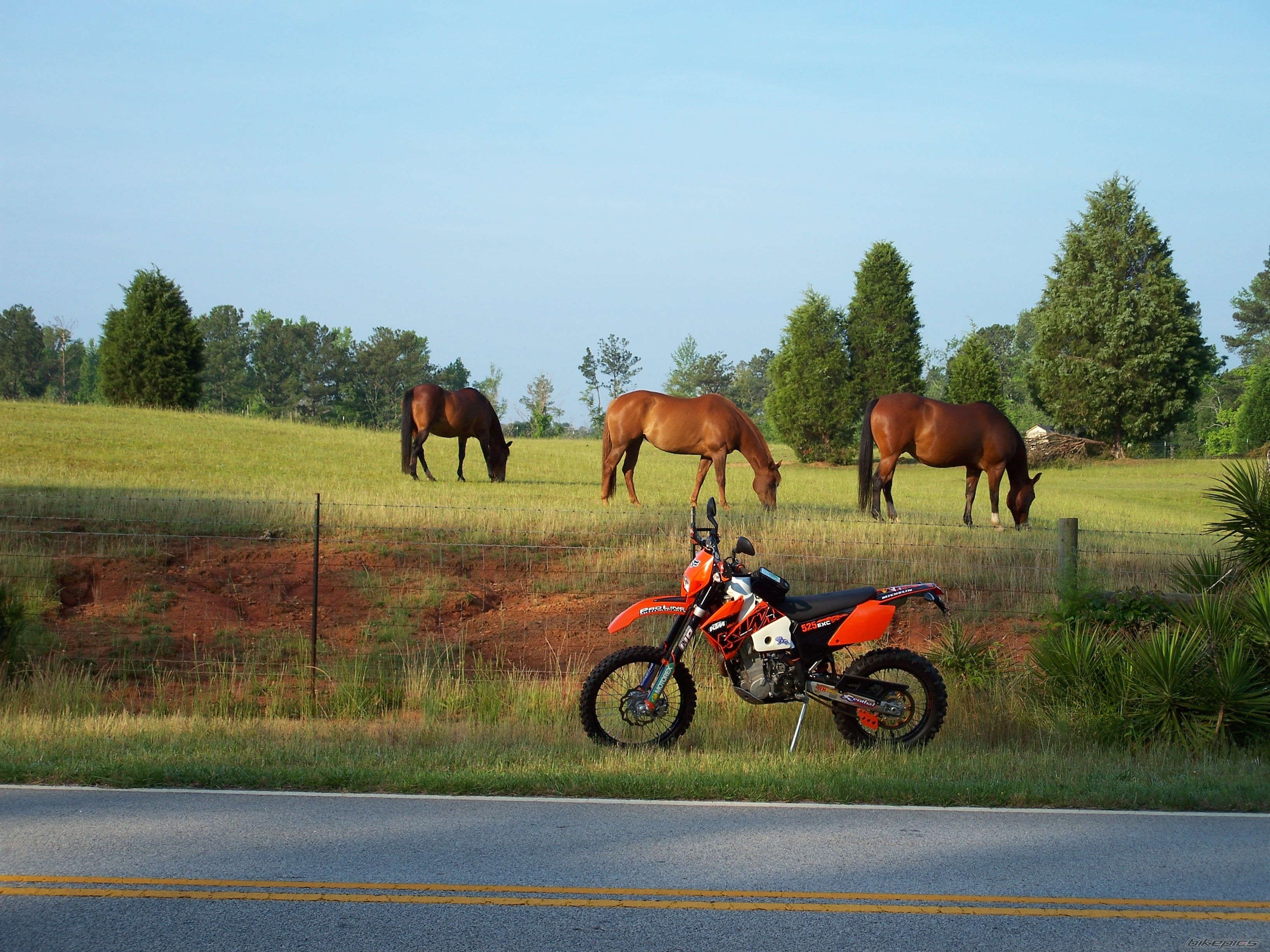 2007 KTM 525 EXC | Picture 1697986 motorcycle photo