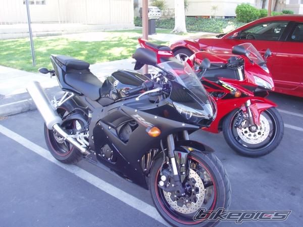 2005 YAMAHA YZF R6 | Picture 1698006 motorcycle photo