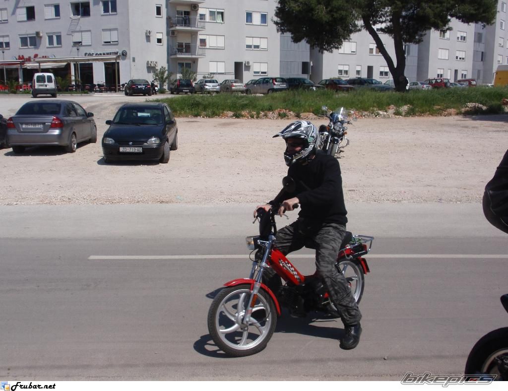 2008 TOMOS AUTOMATIK | Picture 1698340 motorcycle photo