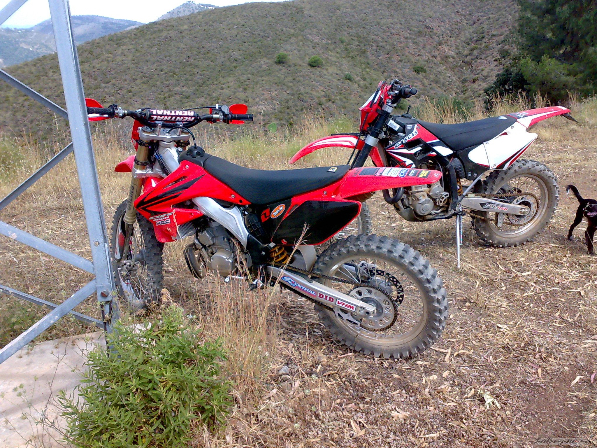 2009 HONDA CR 250 | Picture 1698371 motorcycle photo