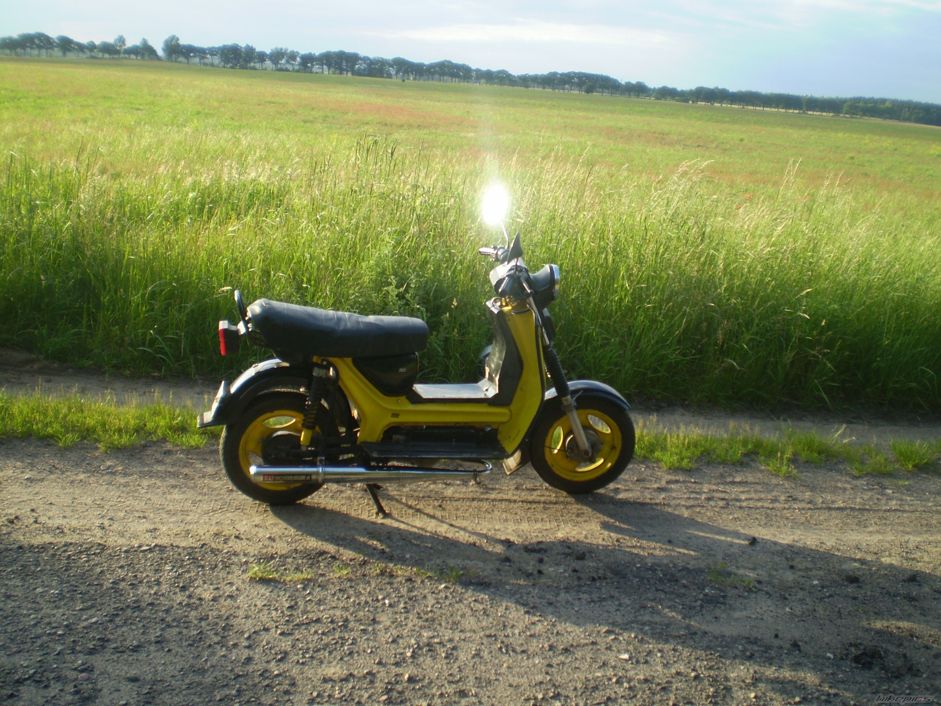 1989 SIMSON SR 50 | Picture 1699696 motorcycle photo