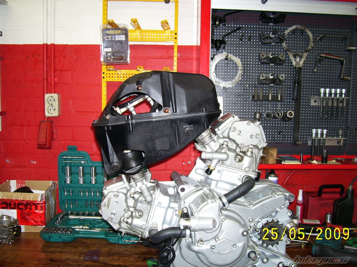 2009 DUCATI RADICAL | Picture 1699697 motorcycle photo