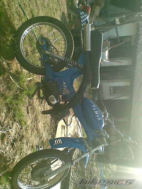 1975 TOMOS APN 4 | Picture 1699833 motorcycle photo