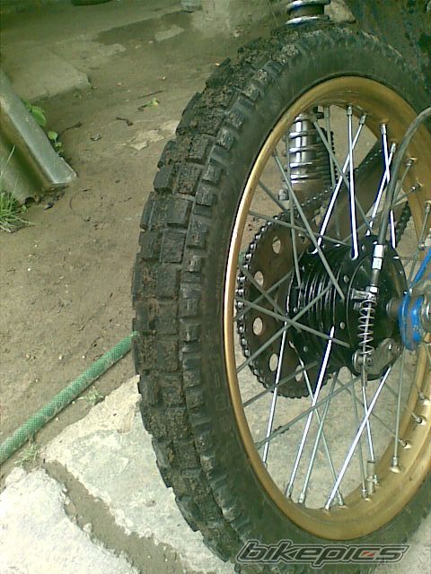 1975 TOMOS APN 4 | Picture 1699921 motorcycle photo
