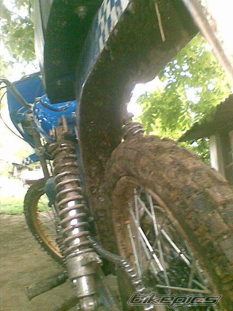1975 TOMOS APN 4 | Picture 1699940 motorcycle photo