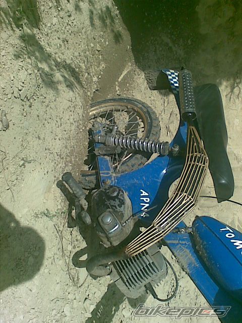 1975 TOMOS APN 4 | Picture 1699951 motorcycle photo