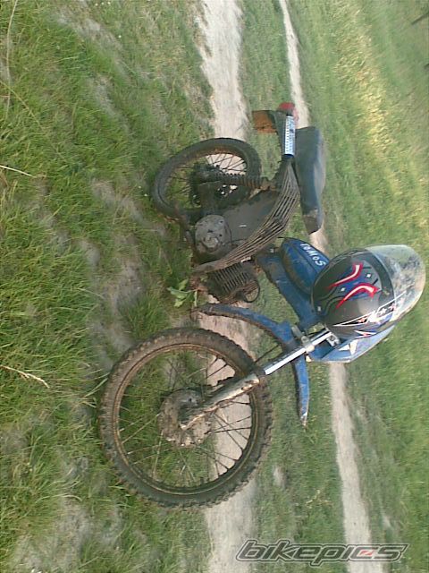 1975 TOMOS APN 4 | Picture 1699962 motorcycle photo