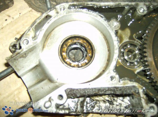 1978 TOMOS AUTOMATIK | Picture 1700024 motorcycle photo