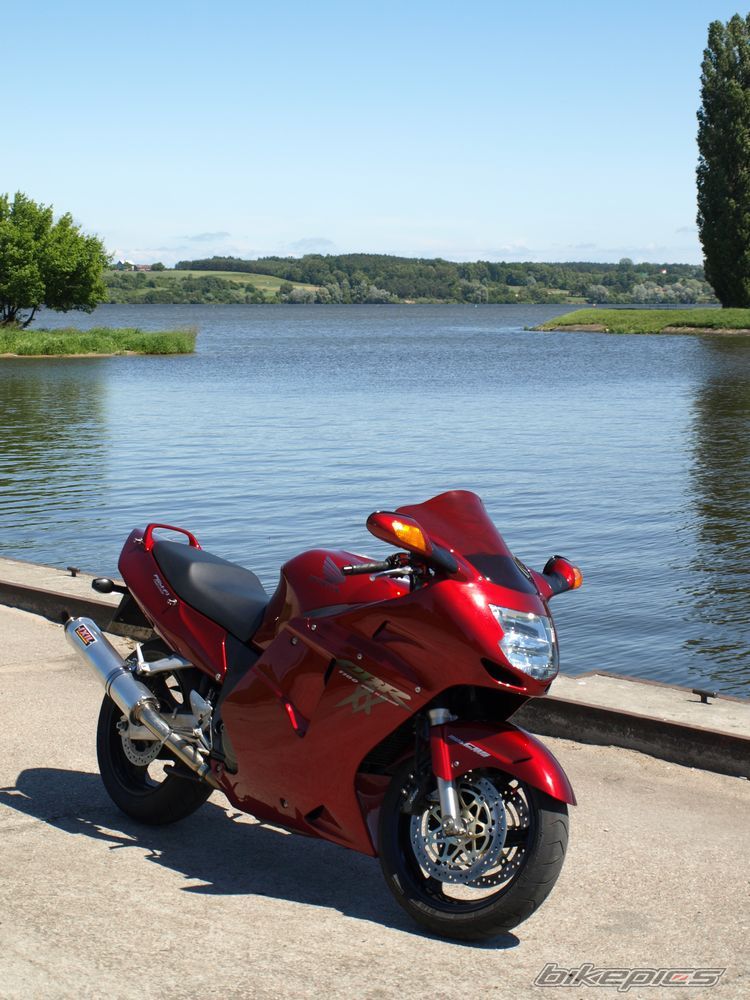2009 HONDA CBR 1100 BLACKBIRD | Picture 1700032 motorcycle photo