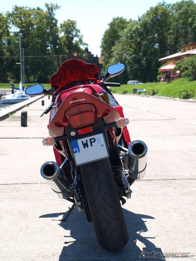 2009 HONDA CBR 1100 BLACKBIRD | Picture 1700036 motorcycle photo