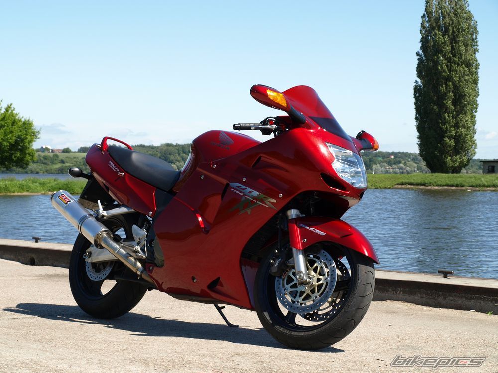 2009 HONDA CBR 1100 BLACKBIRD | Picture 1700038 motorcycle photo