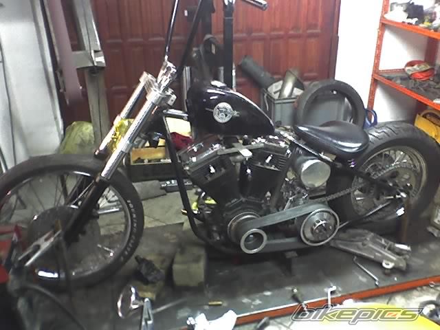 1986 HARLEY DAVIDSON CUSTOM LOW RIDER | Picture 1700106 motorcycle photo