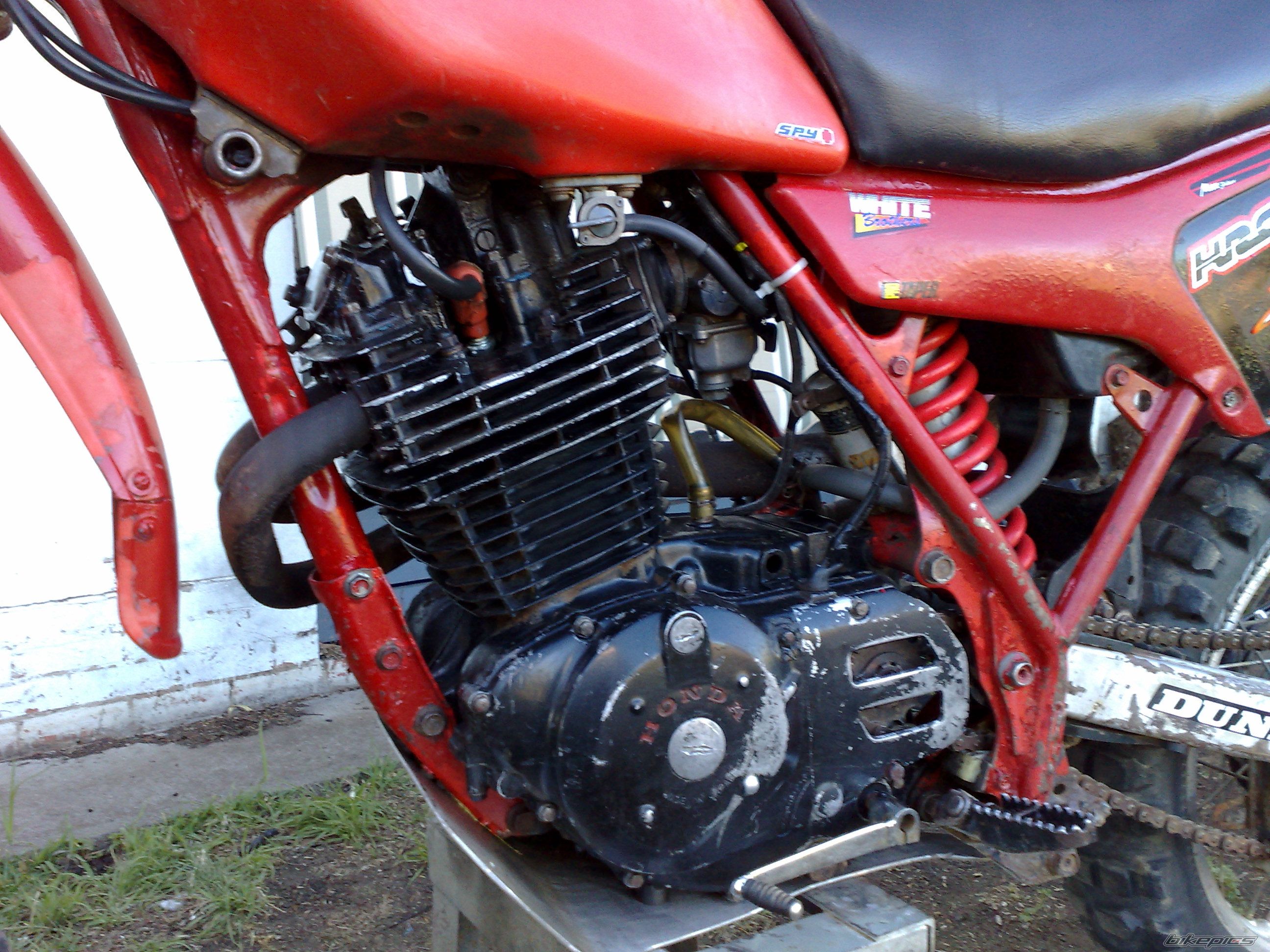 1982 HONDA XR 500 | Picture 1700165 motorcycle photo