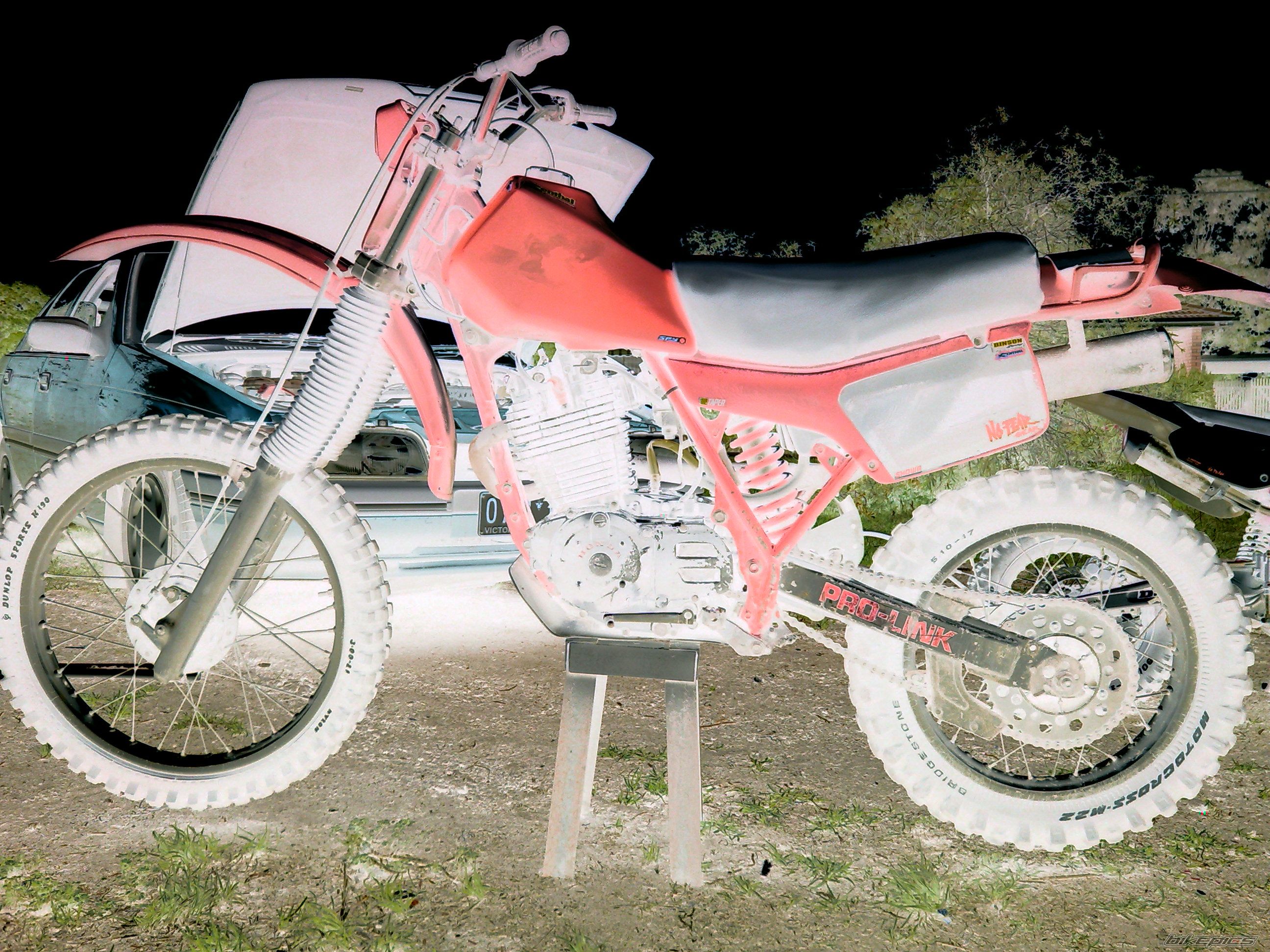 1982 HONDA XR 500 | Picture 1700203 motorcycle photo