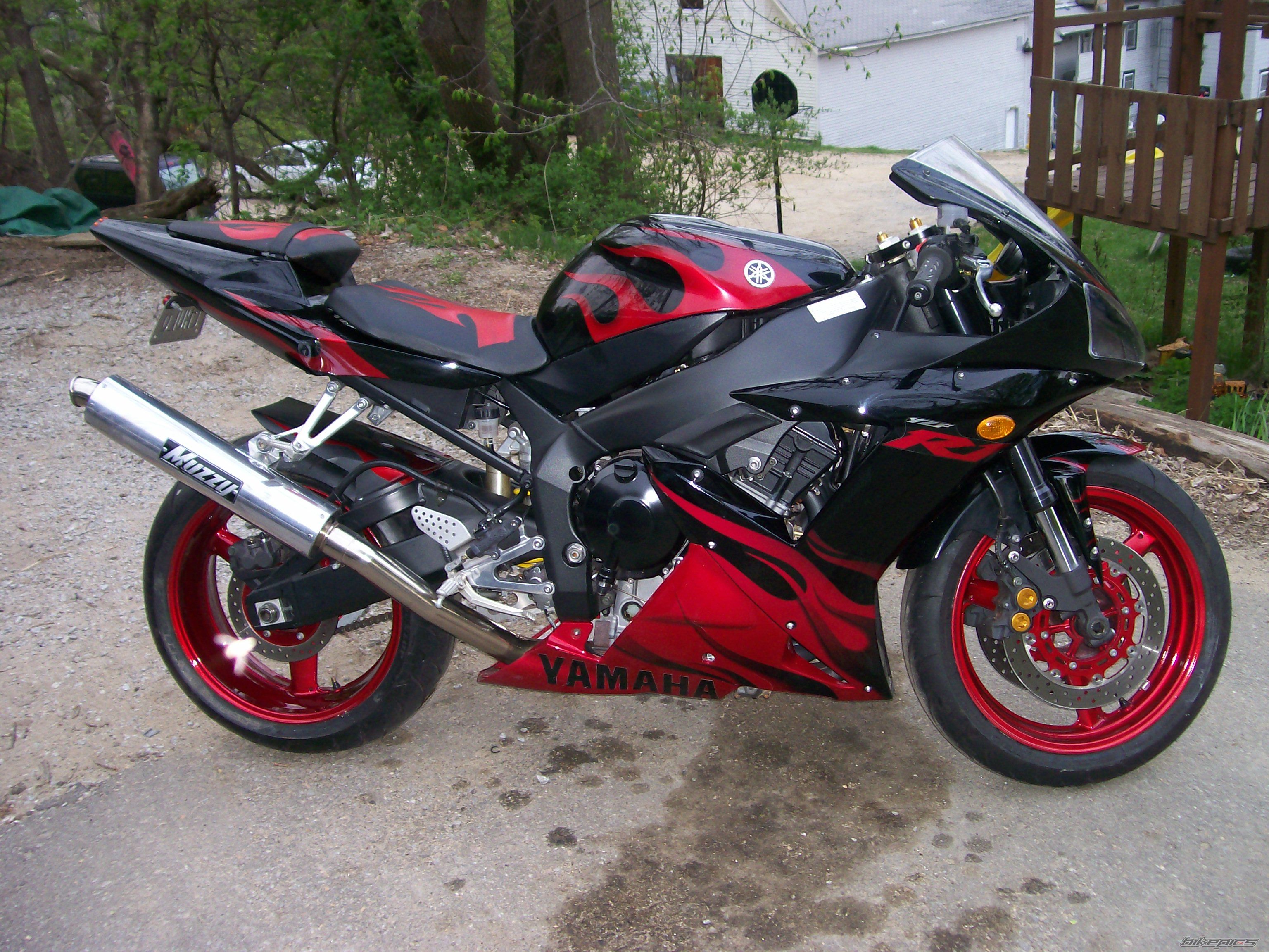 2003 YAMAHA YZF R1 | Picture 1700285 motorcycle photo