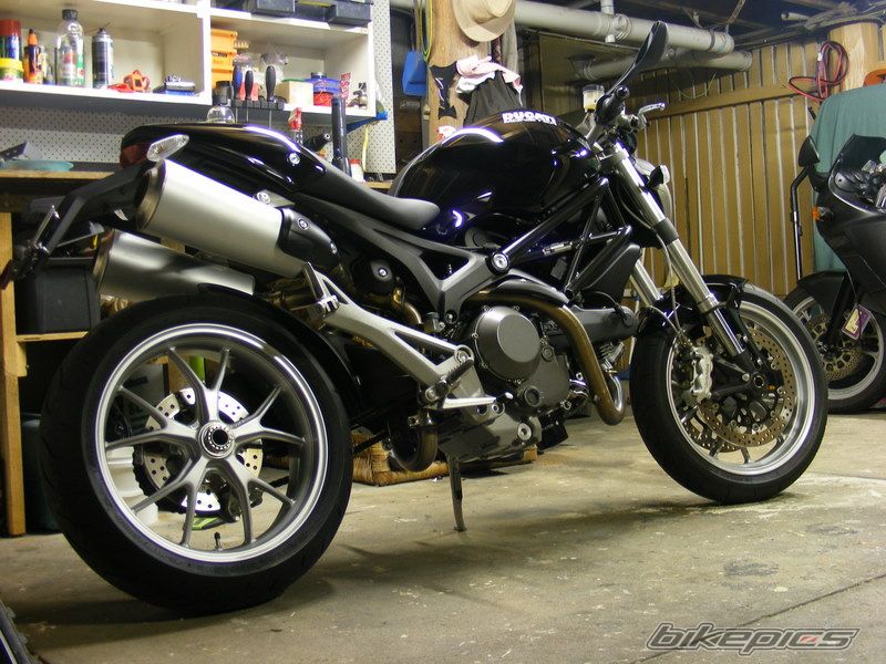 2009 DUCATI MONSTER 1100 | Picture 1700327 motorcycle photo