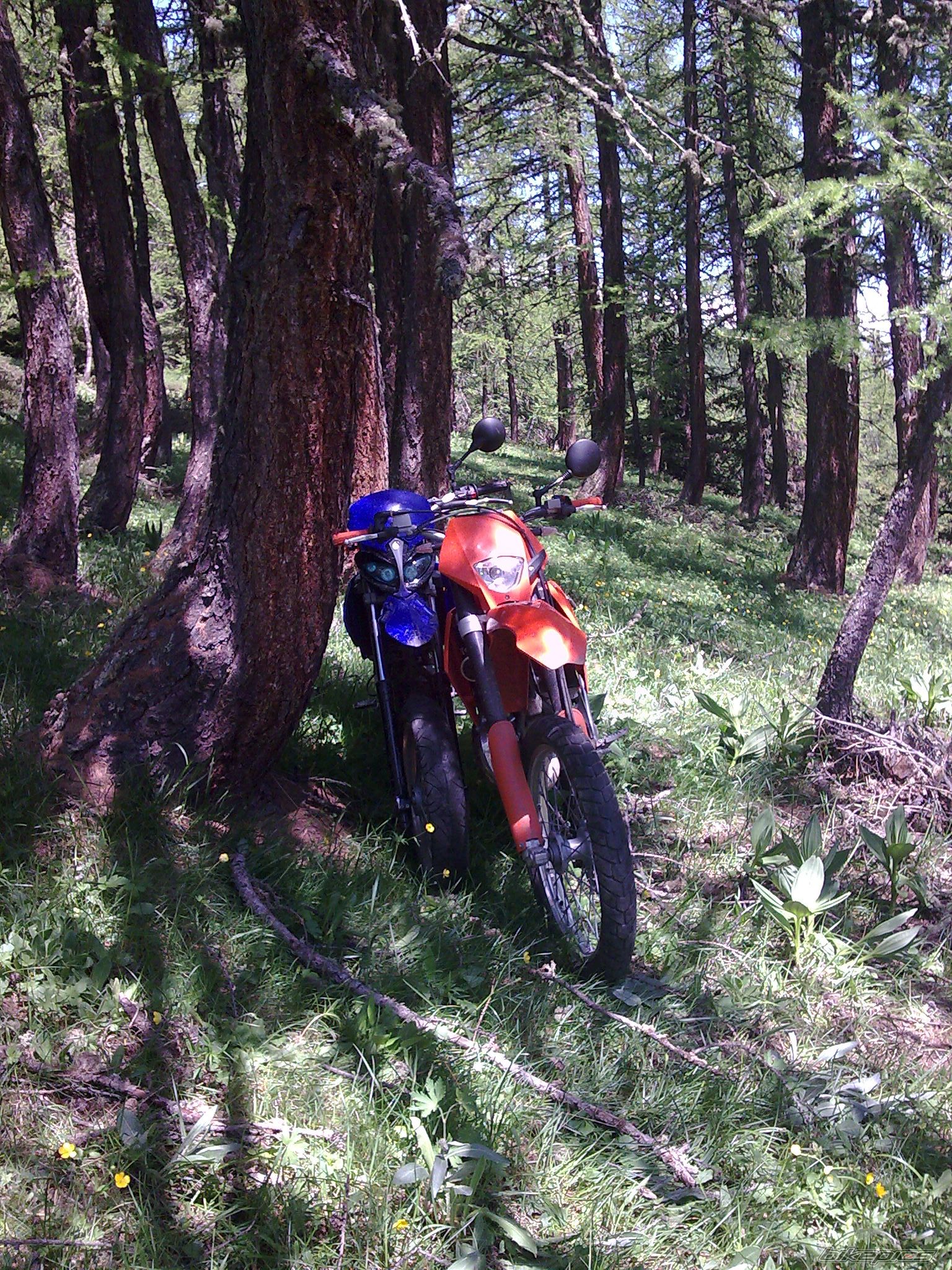 2006 BETA RR 50 | Picture 1700567 motorcycle photo