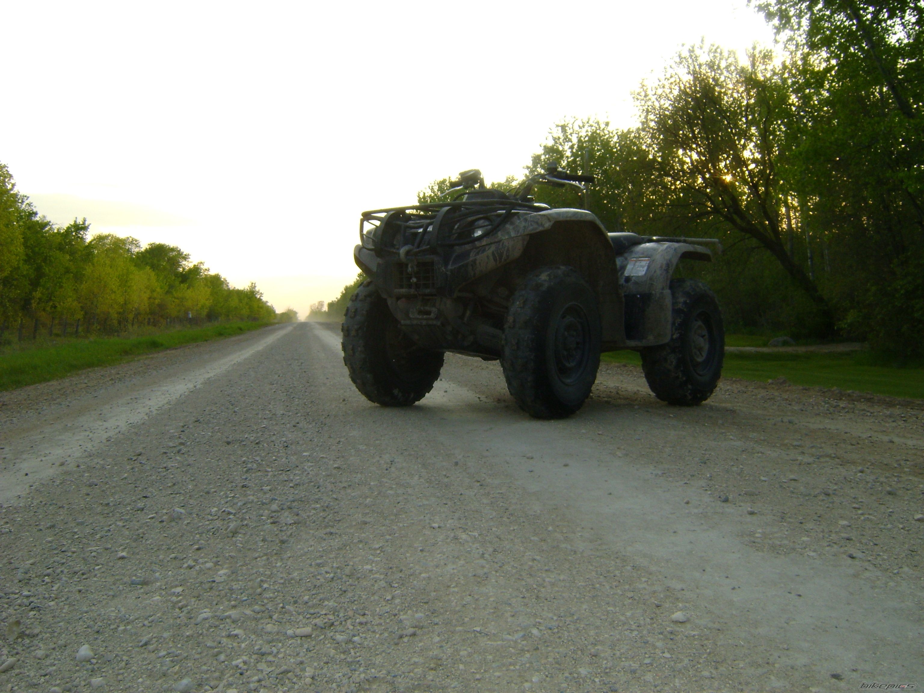 2005 YAMAHA KODIAK | Picture 1700896 motorcycle photo