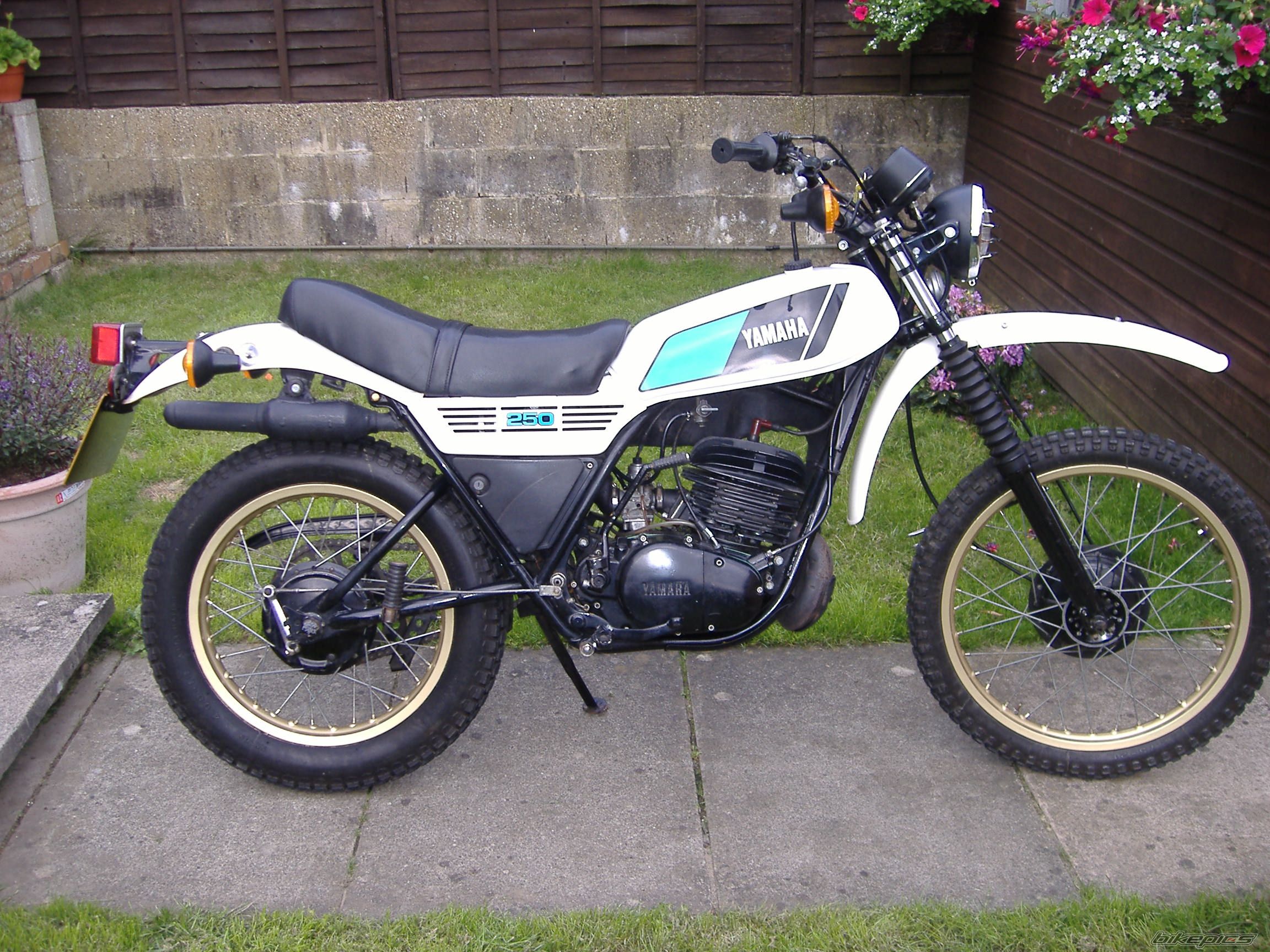 1978 YAMAHA DT 250 | Picture 1701104 motorcycle photo