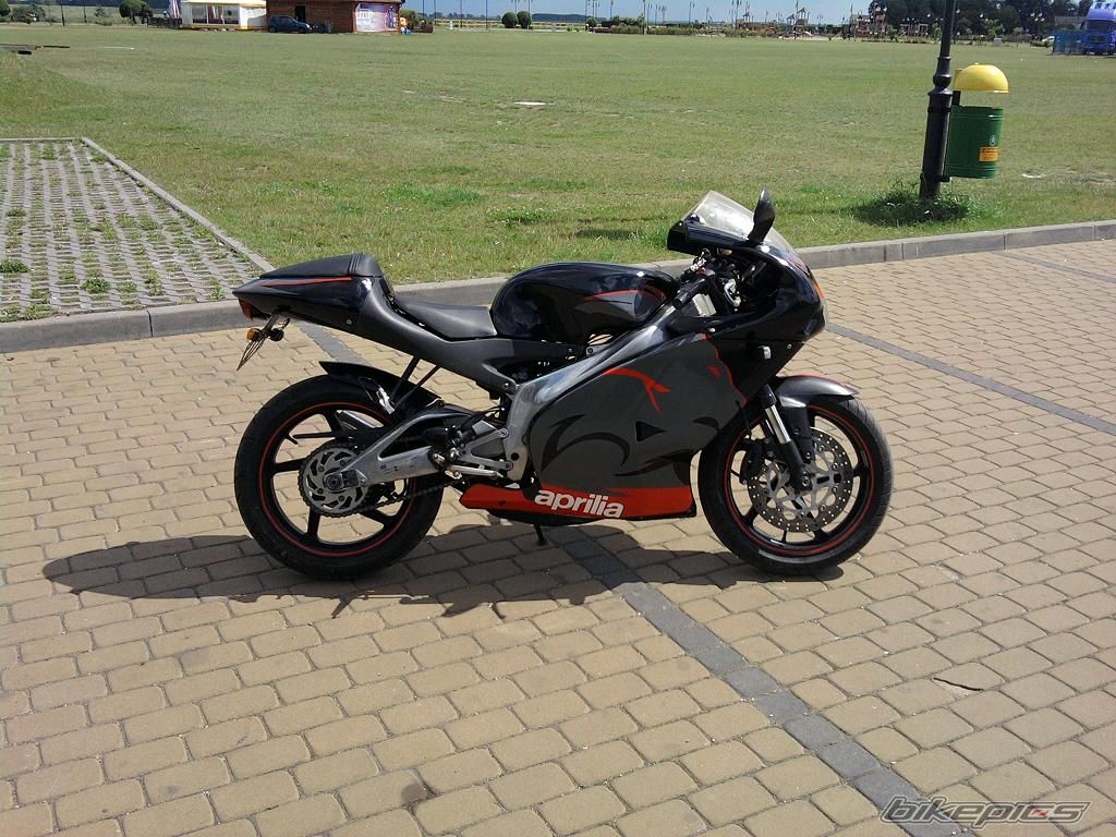 2003 APRILIA RS 125 | Picture 1701170 motorcycle photo